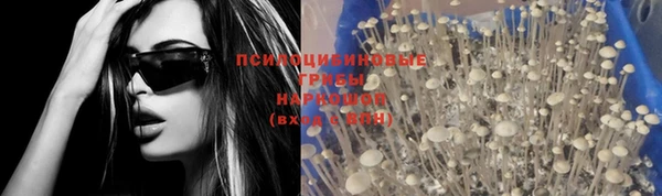 а пвп мука Медвежьегорск